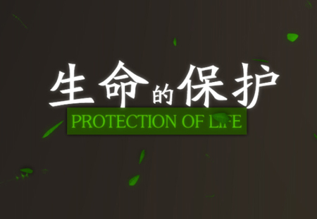 分析河南Mg動畫廣告有哪些優點?